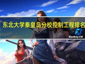 东北大学秦皇岛分校控制工程排名第几