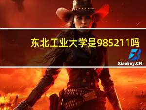 东北工业大学是985211吗