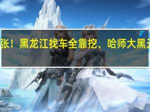东北暴雪太夸张！黑龙江找车全靠挖、哈师大黑天鹅已被冻湖上两天