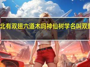 东北有双翅六道木吗 神仙树学名叫双翅六道木