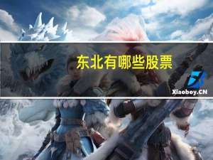 东北有哪些股票