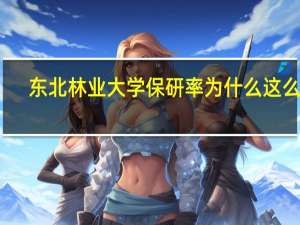 东北林业大学保研率为什么这么高