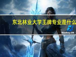 东北林业大学王牌专业是什么