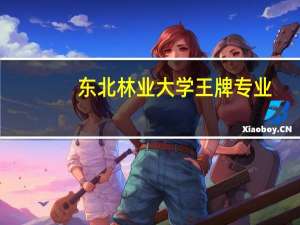 东北林业大学王牌专业