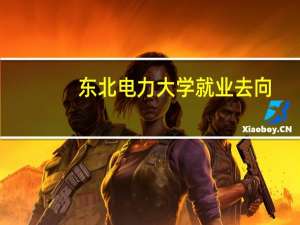 东北电力大学就业去向（东北电力大学就业）