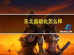 东北自动化怎么样