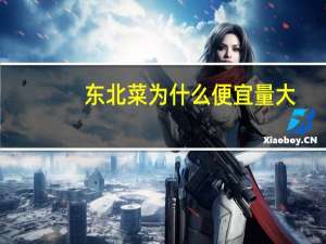 东北菜为什么便宜量大