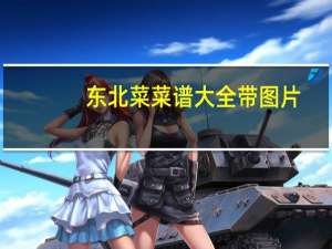 东北菜菜谱大全带图片（东北菜菜谱）
