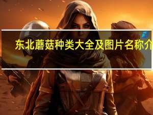 东北蘑菇种类大全及图片名称介绍（东北蘑菇的种类）