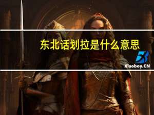 东北话划拉是什么意思