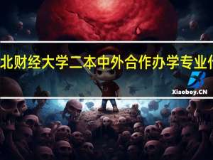 东北财经大学二本中外合作办学专业什么意思
