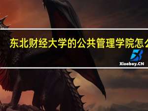 东北财经大学的公共管理学院怎么样