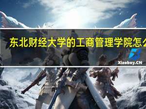 东北财经大学的工商管理学院怎么样