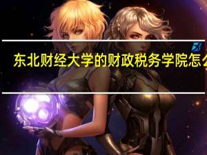东北财经大学的财政税务学院怎么样