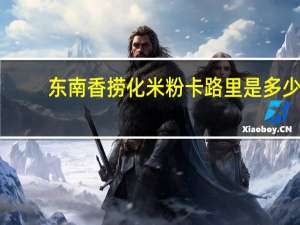 东南香 捞化米粉卡路里是多少