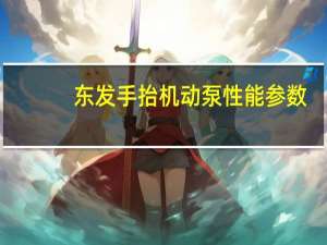 东发手抬机动泵性能参数