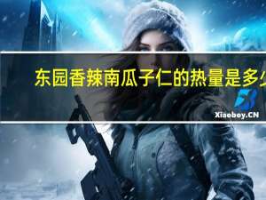 东园 香辣南瓜子仁的热量是多少