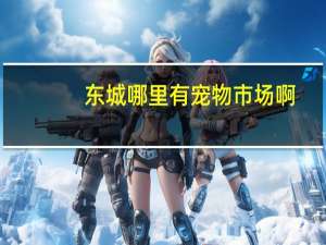 东城哪里有宠物市场啊