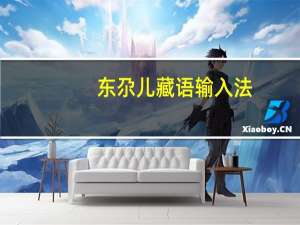 东尕儿藏语输入法（藏语输入法）