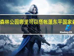东平国家森林公园哪里可以搭帐篷 东平国家森林公园好玩吗