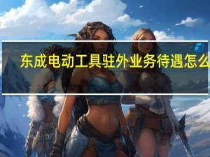 东成电动工具驻外业务待遇怎么样