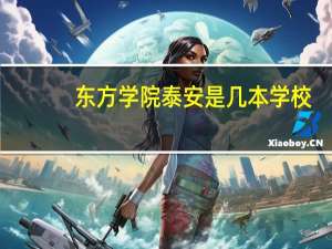 东方学院泰安是几本学校