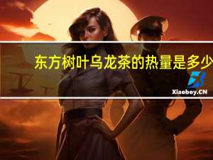 东方树叶 乌龙茶的热量是多少