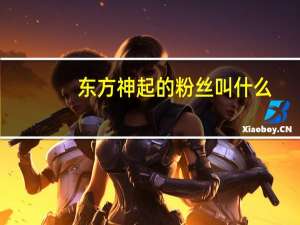 东方神起的粉丝叫什么