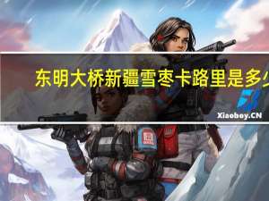 东明大桥 新疆雪枣卡路里是多少