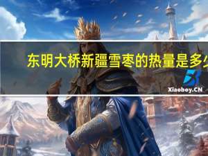 东明大桥 新疆雪枣的热量是多少