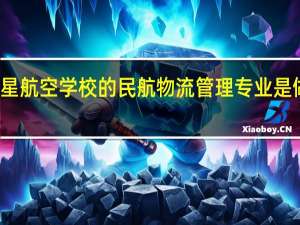 东星航空学校的民航物流管理专业是做什么的