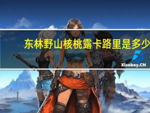 东林 野山核桃露卡路里是多少