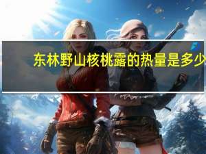 东林 野山核桃露的热量是多少