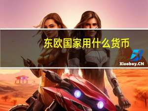 东欧国家用什么货币