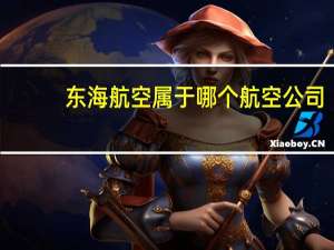东海航空属于哪个航空公司
