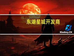 东湖星城开发商（东湖星岛简介）