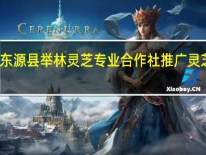 东源县举林灵芝专业合作社推广灵芝种植