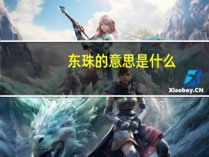 东珠的意思是什么