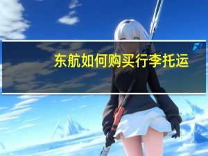 东航如何购买行李托运