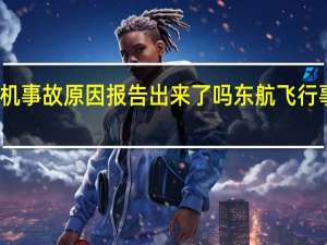 东航客机事故原因报告出来了吗 东航飞行事故调查报告