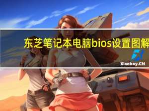东芝笔记本电脑bios设置图解（东芝笔记本电脑怎么样）