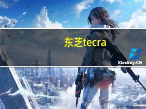 东芝tecra（关于东芝tecra的介绍）