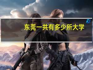 东莞一共有多少所大学