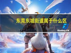 东莞东城街道属于什么区