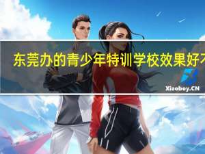 东莞办的青少年特训学校效果好不好，有人去读过吗