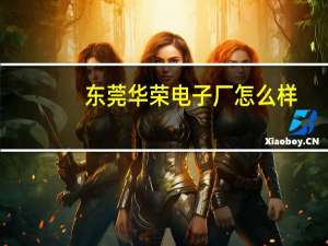 东莞华荣电子厂怎么样