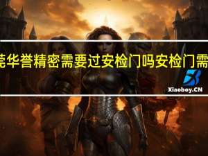 东莞华誉精密需要过安检门吗 安检门需要多少钱