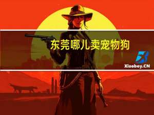 东莞哪儿卖宠物狗