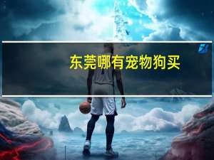 东莞哪有宠物狗买