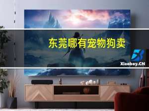 东莞哪有宠物狗卖